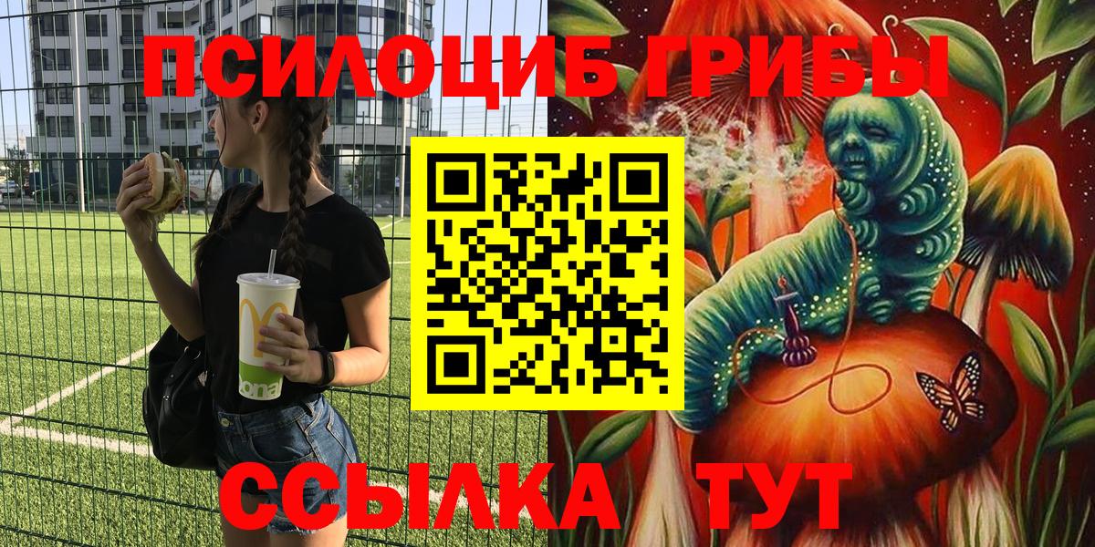 Галлюциногенные грибы Psilocybine cubensis  Галлюциногенные грибы Psilocybine cubensis  Мурино  Вход с VPN 